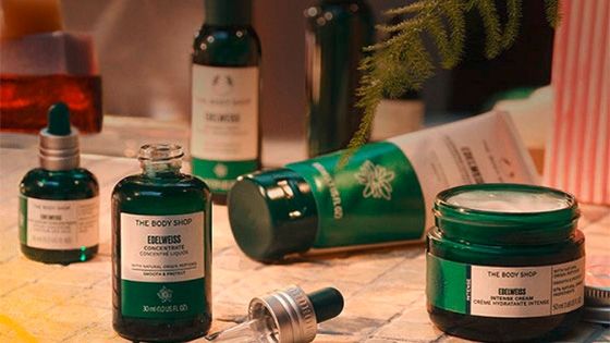 Productos Edelweiss