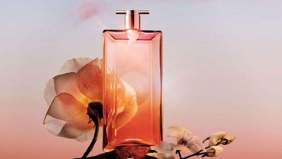 Diseño Idôle Now