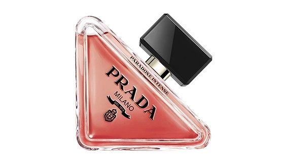 PARADOXE INTENSE