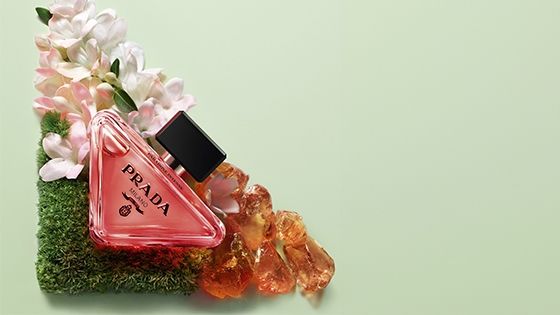 PARADOXE INTENSE