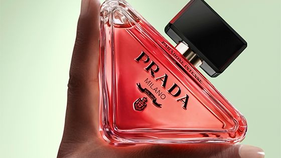 PARADOXE INTENSE