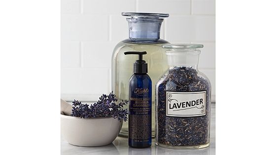 Midnight Recovery Cleansing Oil