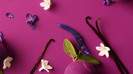 cocodrilo;magnetica;tenis;frutal;floral;