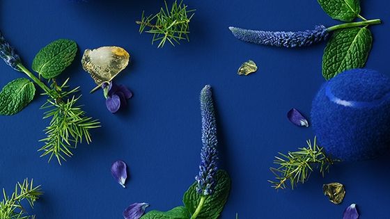 cocodrilo;magnetico;tenis;envase azul