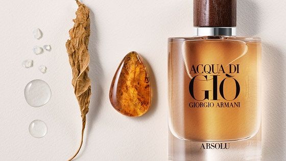 Acqua Di Gio Absolu