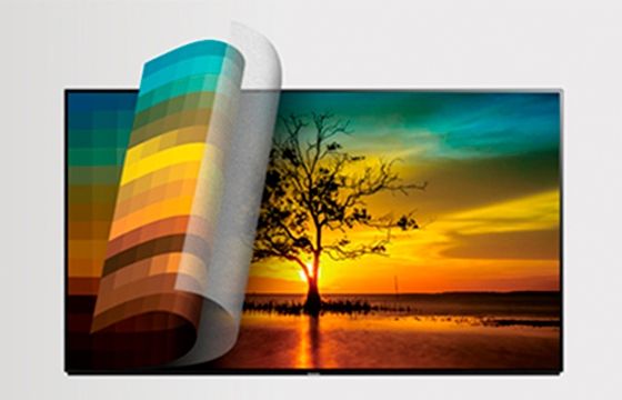 TV paisaje de un árbol al atardecer y con muchos matices de colores