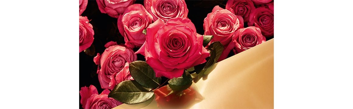rosa crema 