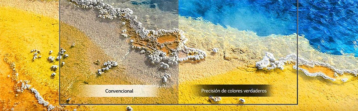 lg_colores
