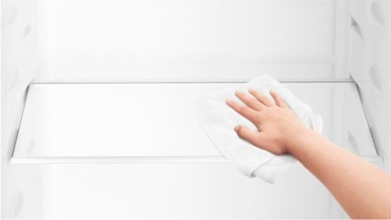 Bandejas de vidrio templado con el refrigerador Fensa DW44S