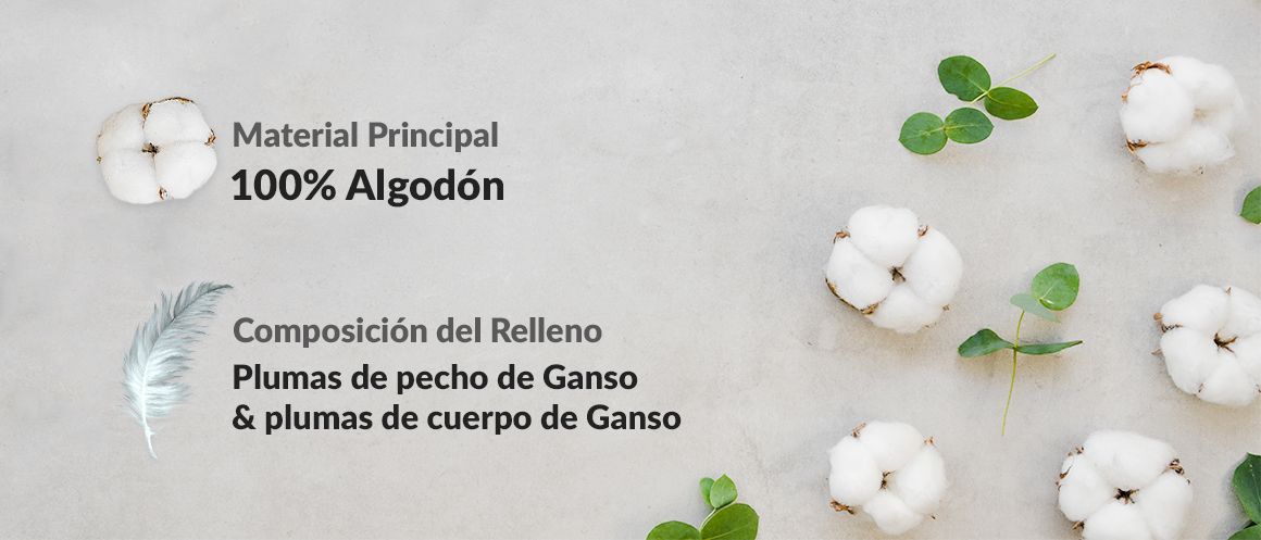 100% Algodón