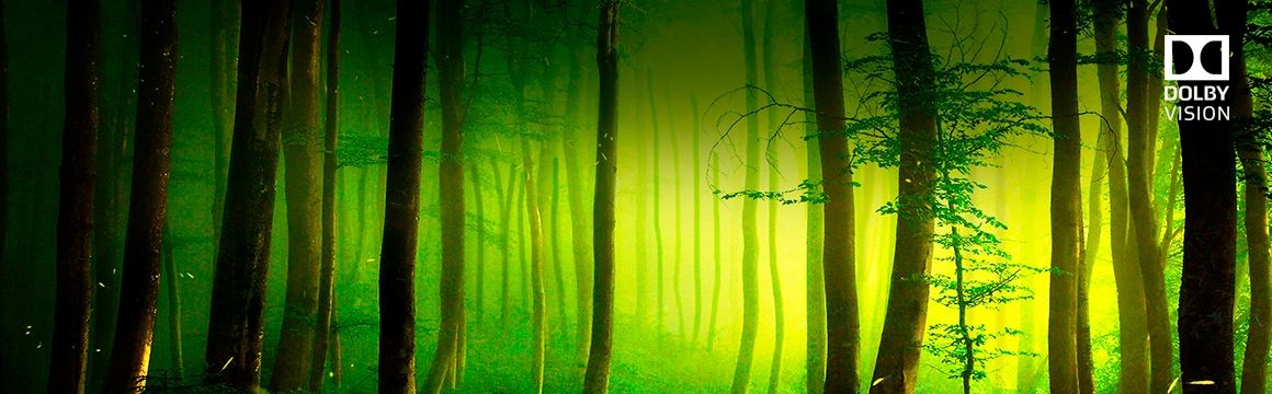 DolbyAtmos_lguhd_lg