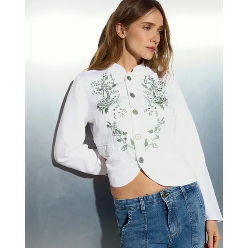 Abrigos y Chaquetas