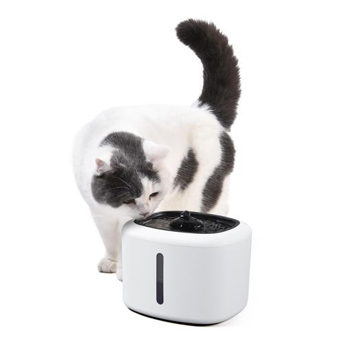 Bebederos para gatos