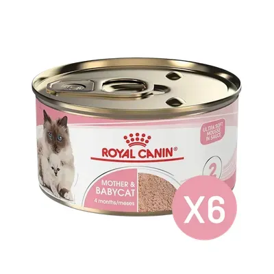 Alimento Húmedo para Gatos