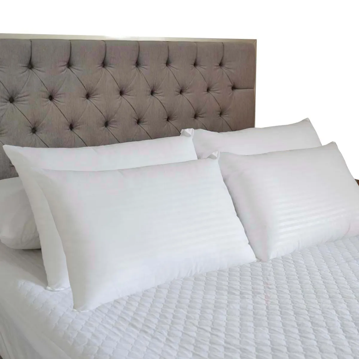 HOGARETO - Set x 4 Almohada Siliconada 65x45cm Hogareto.