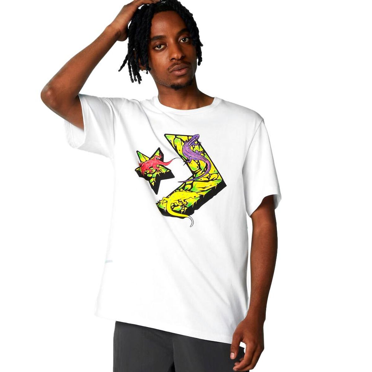 CONVERSE - Camiseta Converse Exotic Lizards Unisex-Blanco