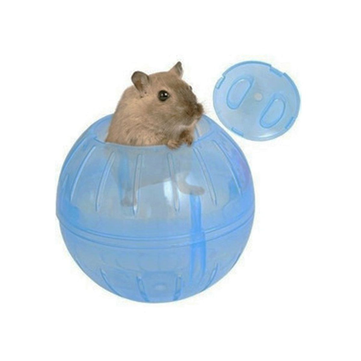 AFM - Bola rueda hamster para roedores Rosada