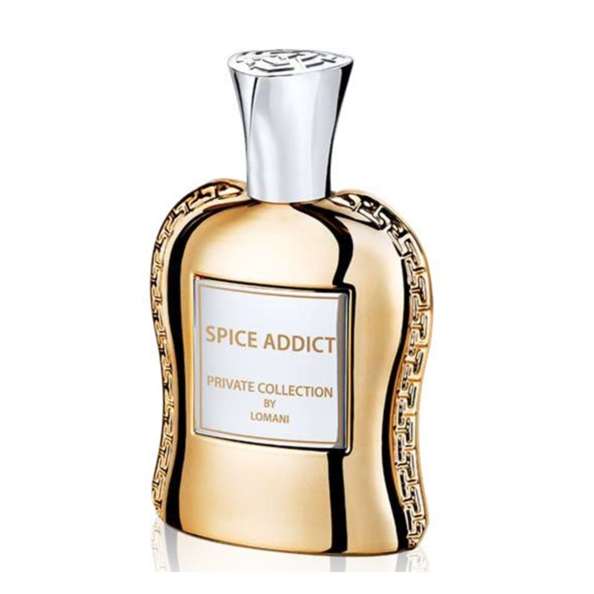 LOMANI - Perfume Private Collection Spice Addict EDP