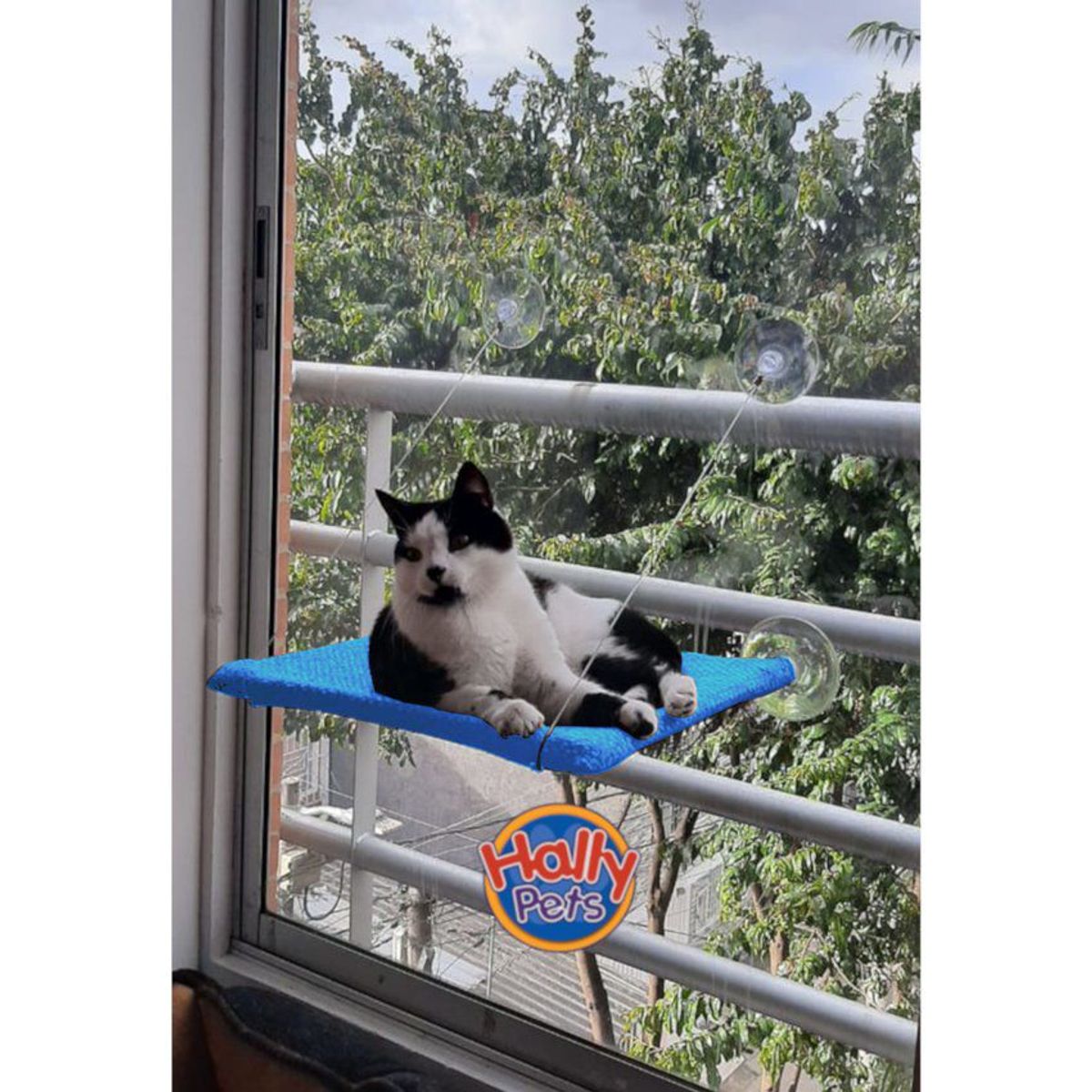 HALLY PET - Cama hamaca para gatos celeste