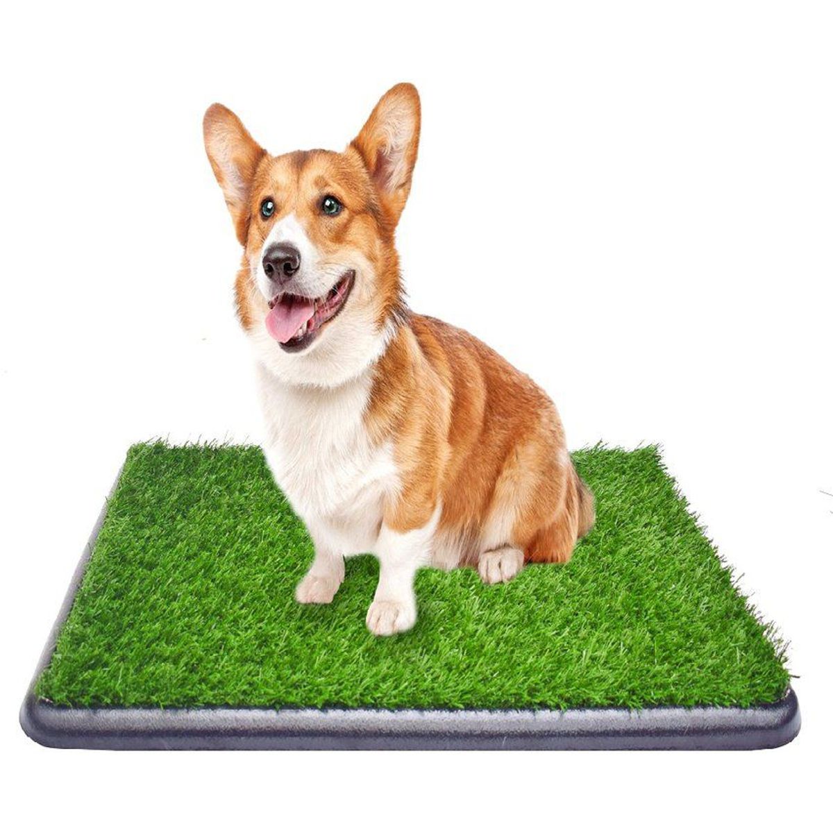 HALLY PET - Tapete entrenador grande con grama + repuesto grama