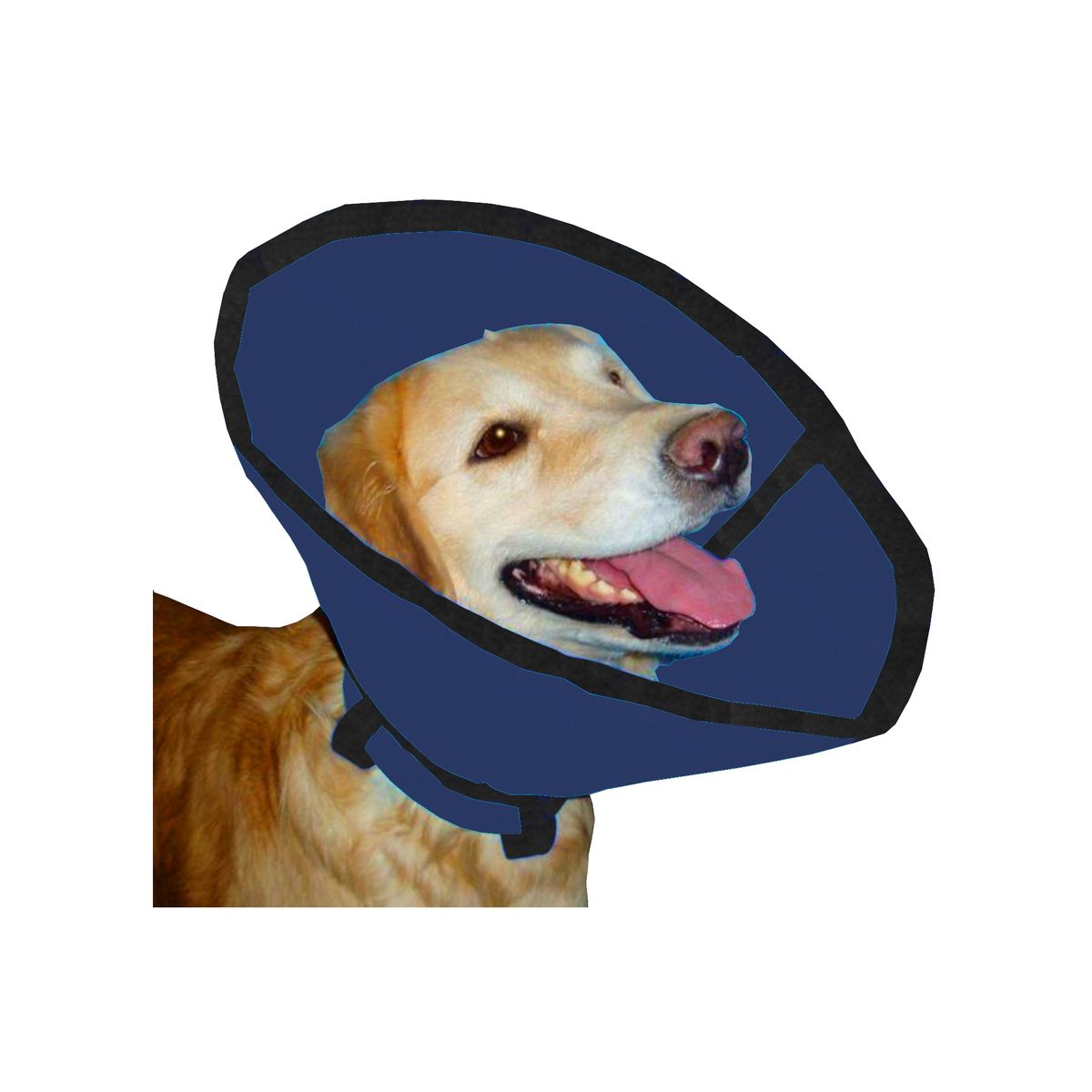 HALLY PET - Collar isabelino talla M Azul Oscuro