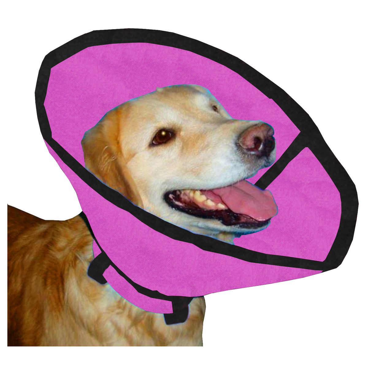 HALLY PET - Collar Isabelino Talla L Rosado