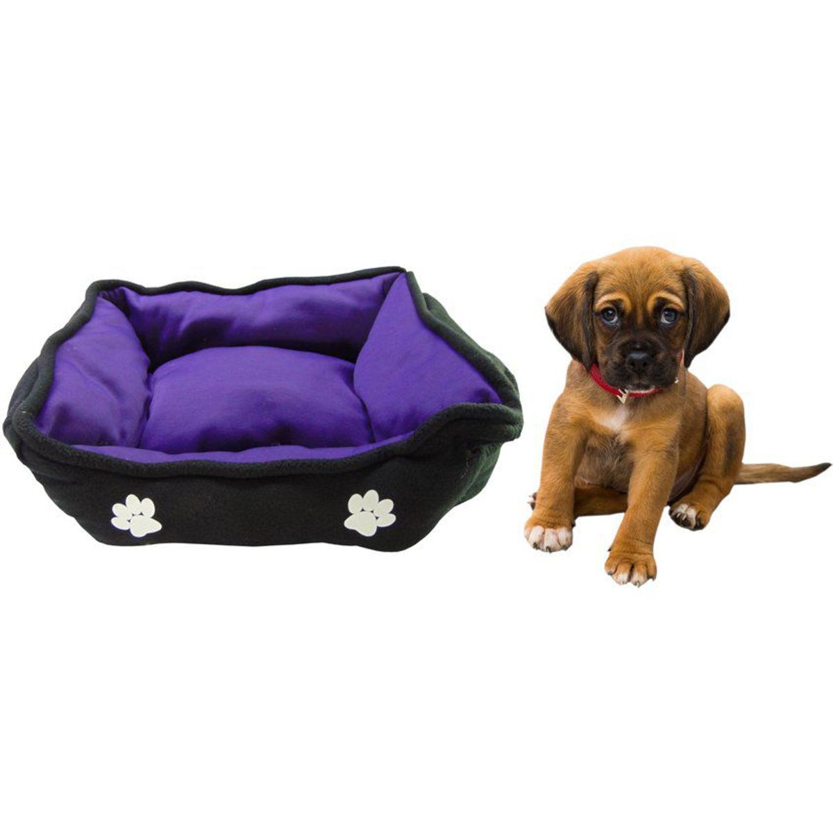 HALLY PET - Cama grande doble faz para mascota