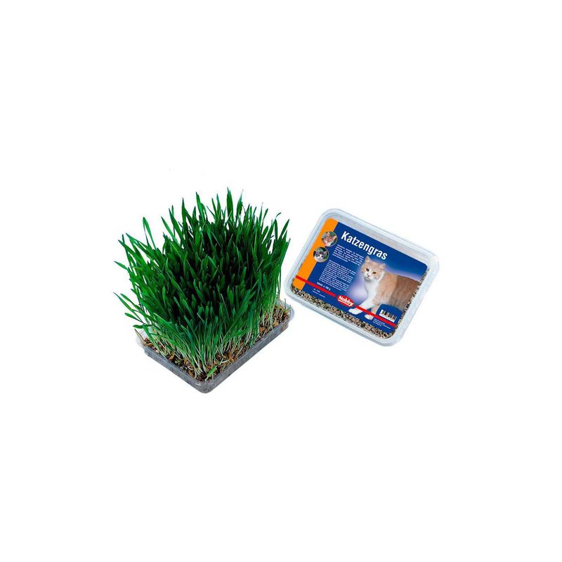 FREEDOG - Cat grass 100gr