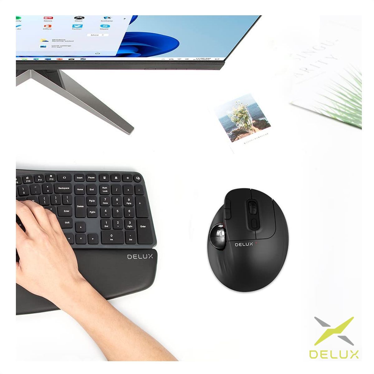 DELUX - Mouse Ergo Trackball Delux Mt1 Db Inalámbrico  Bluetooth