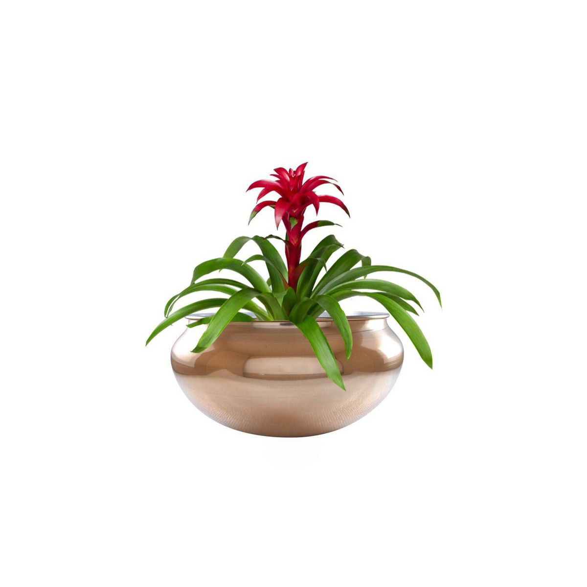 RENOVEMOS - Matera Aluminio Cobre 12