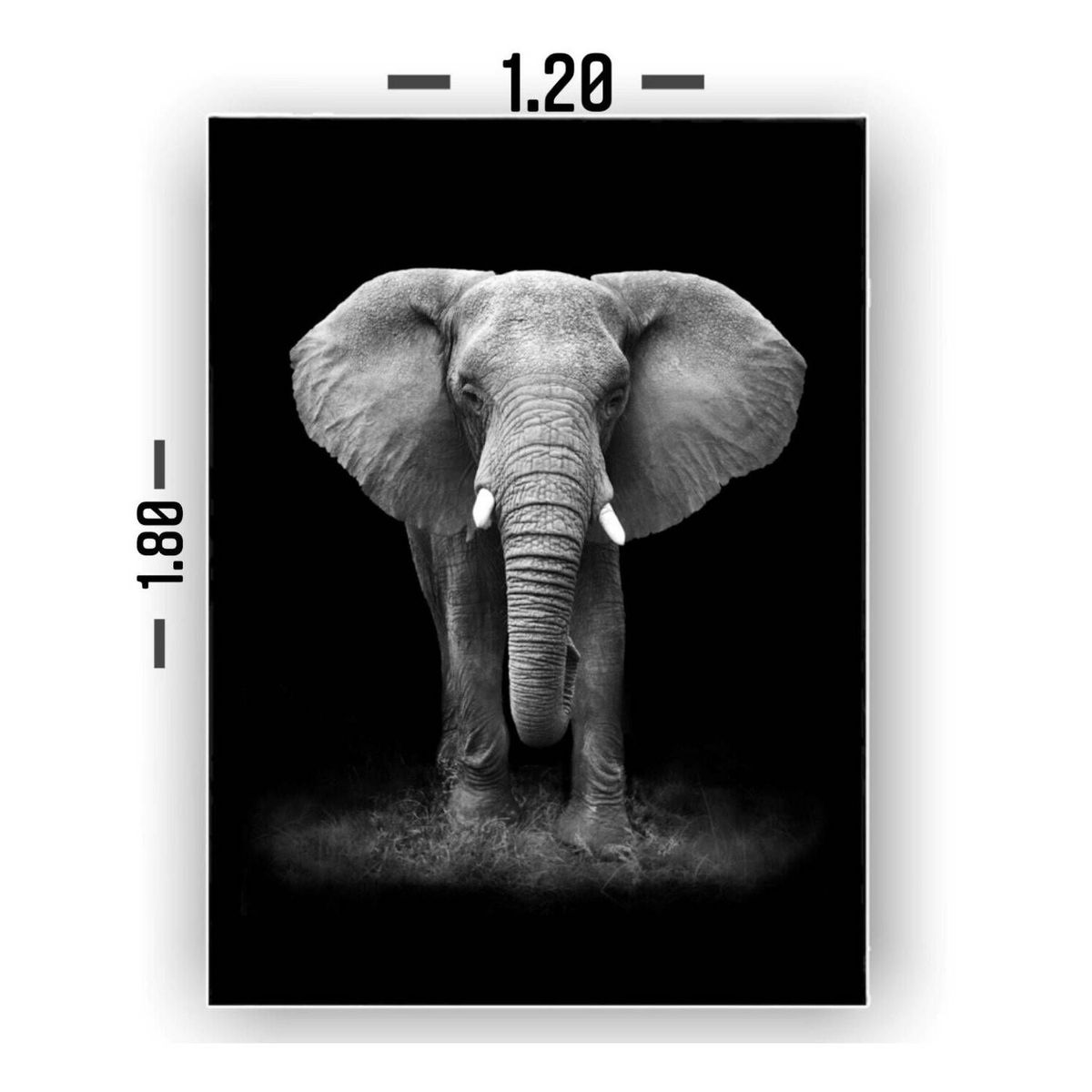 EKONOMODO COLOMBIA - Cuadro Elefante Cuerpo Completo 180X120X5