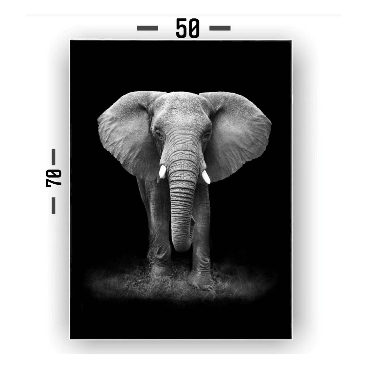 EKONOMODO COLOMBIA - Cuadro Elefante Cuerpo Completo 70X50X5