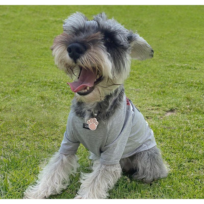 DISNEY - Camiseta para mascotas minnie mouse - ropa de mascotas T-S