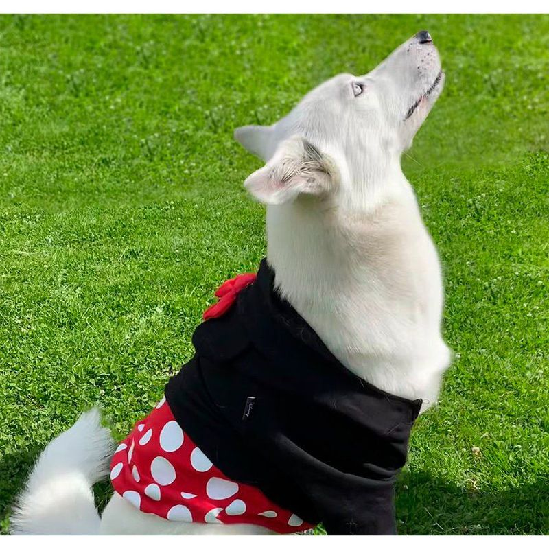 DISNEY - Buso para mascotas minnie mouse - ropa de mascotas T-XS
