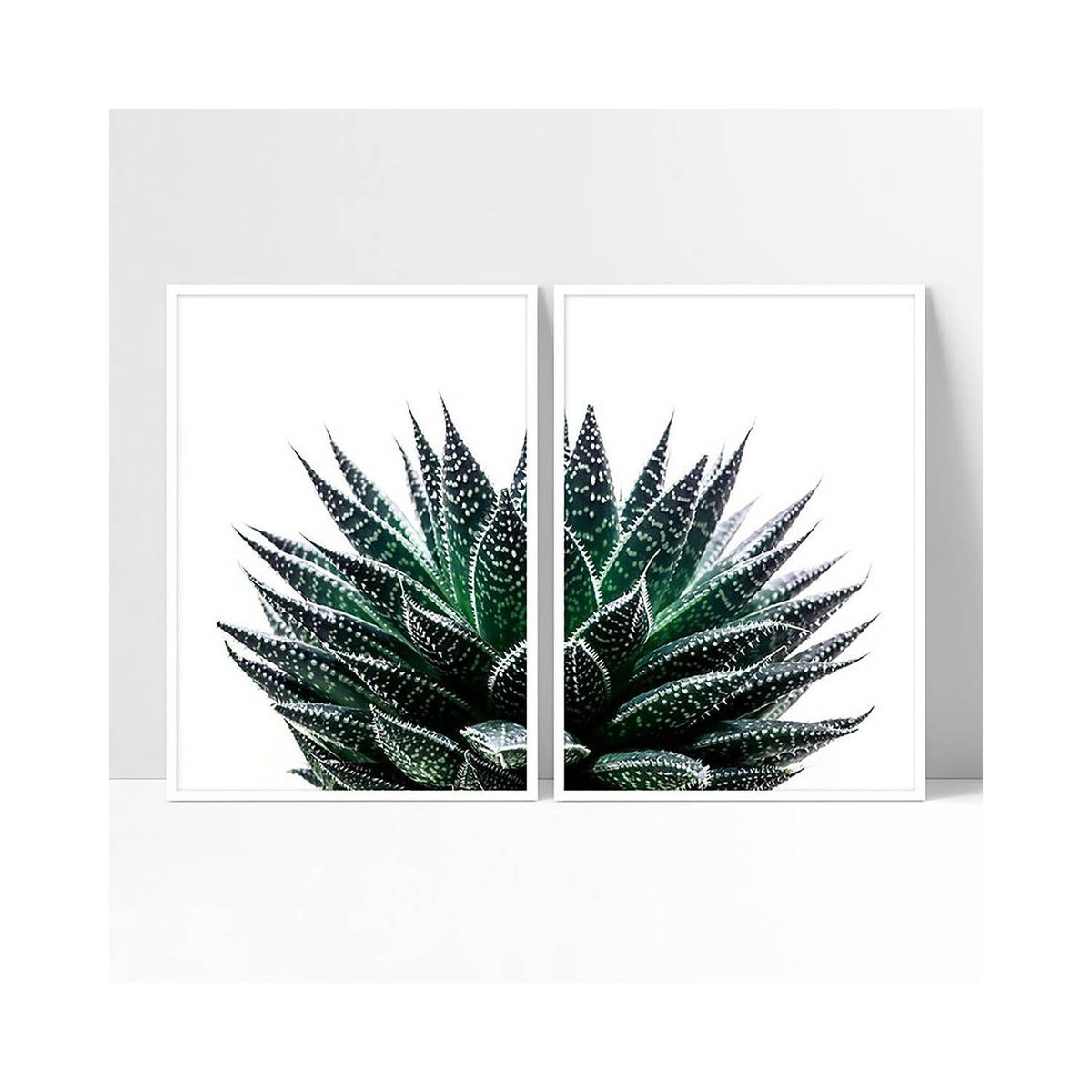 DE CASA - Díptico suculentas