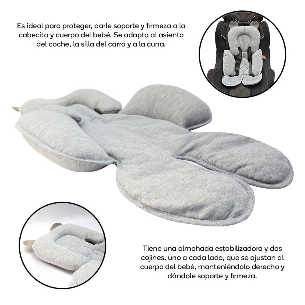 TORAL - Mi soporte estabilizador