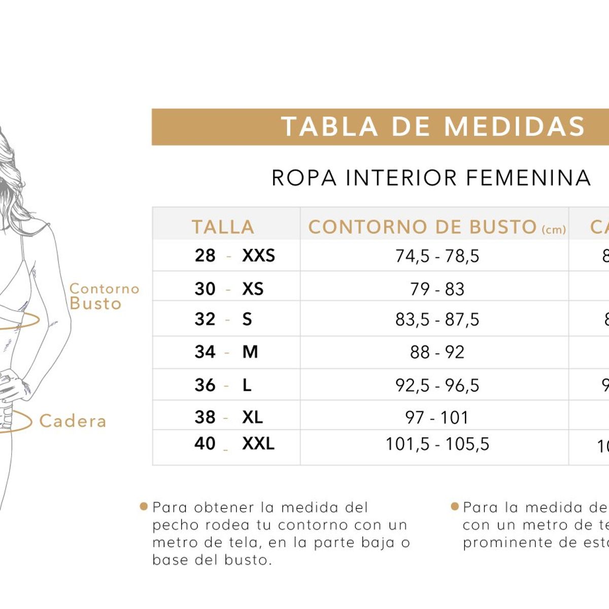 FORMAS INTIMAS - Brasier Para Mujer Negro FI