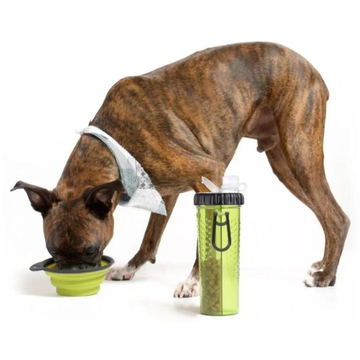 ZHOPI CO - Bebedero Botella Y Porta Comida Portatil Agua Mascotas