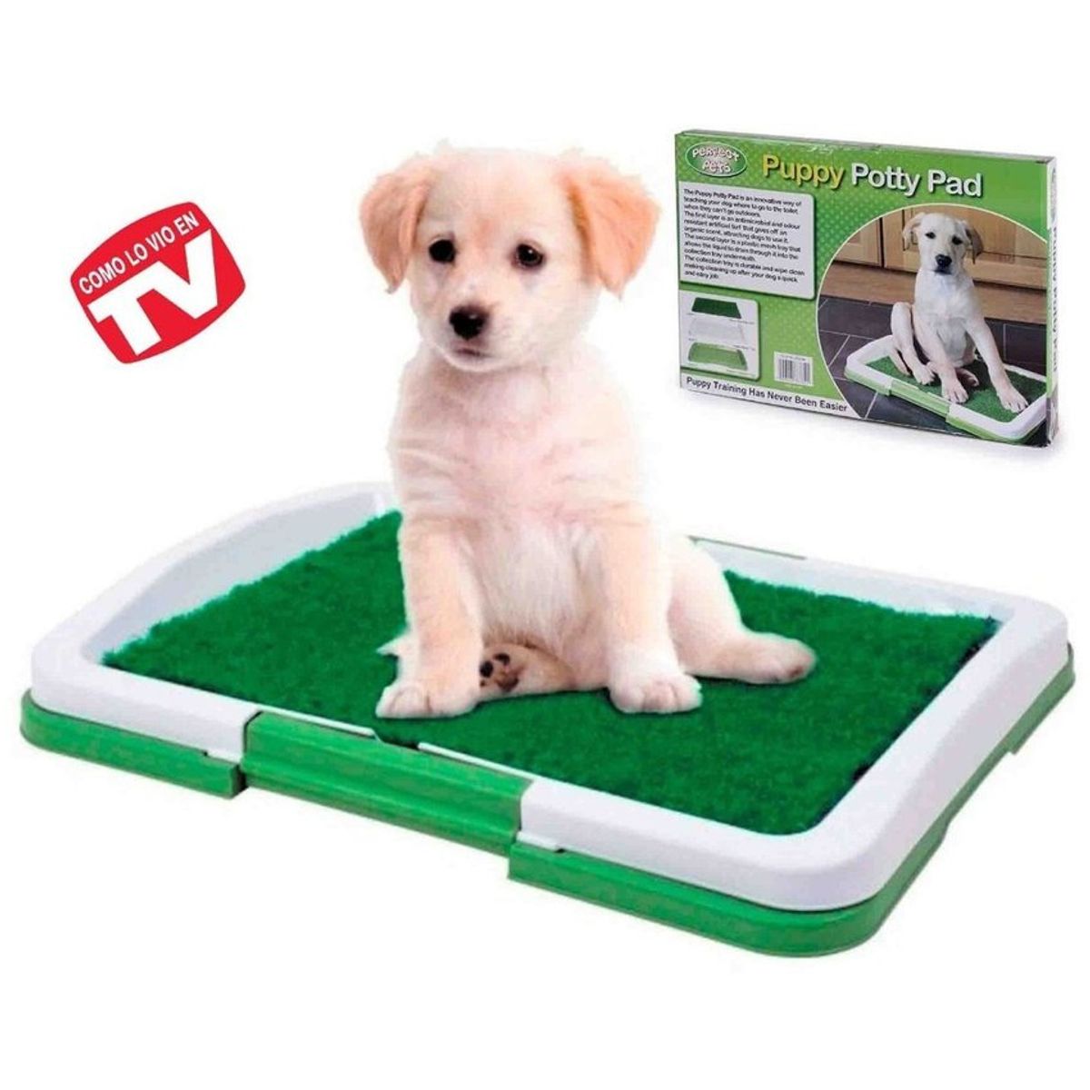 ZHOPI CO - Tapete Entrenamiento Baño Potty Pach Perros Pequeño