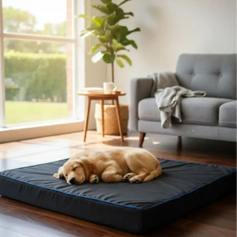 Memory Foam Colchoneta De Perro Grande 