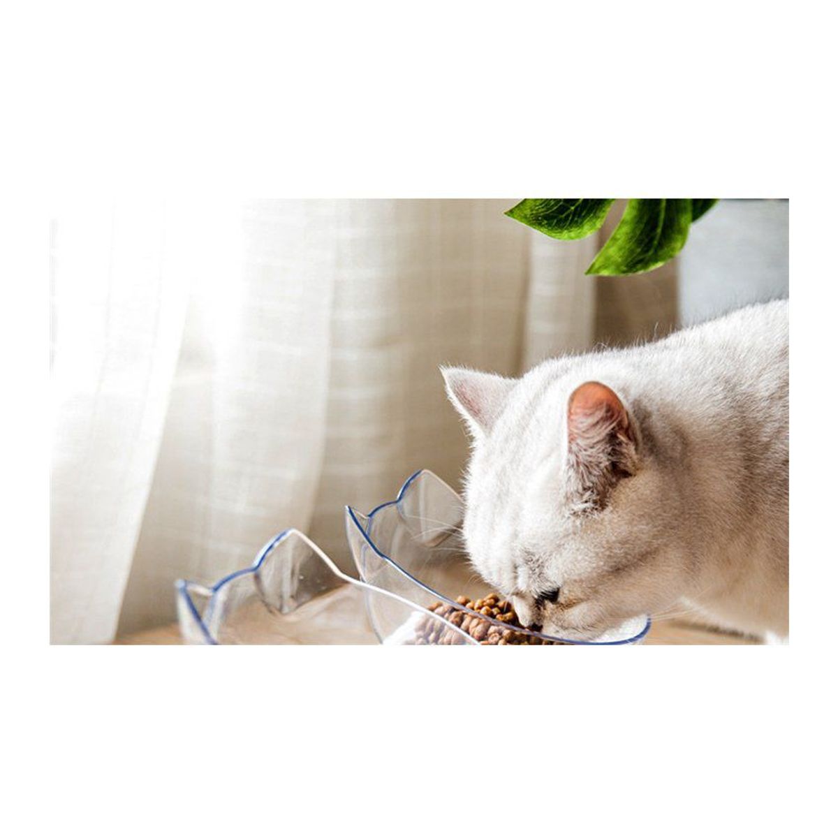 AFM - Comedero elevado para gatos