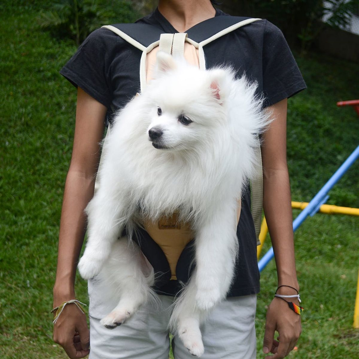 PRIMORDIAL - Cargador canguro para perro - 200412 - Primorpets