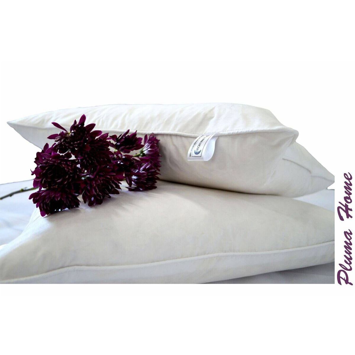 PLUMA HOME - Almohadas de plumas set x2 by pluma home