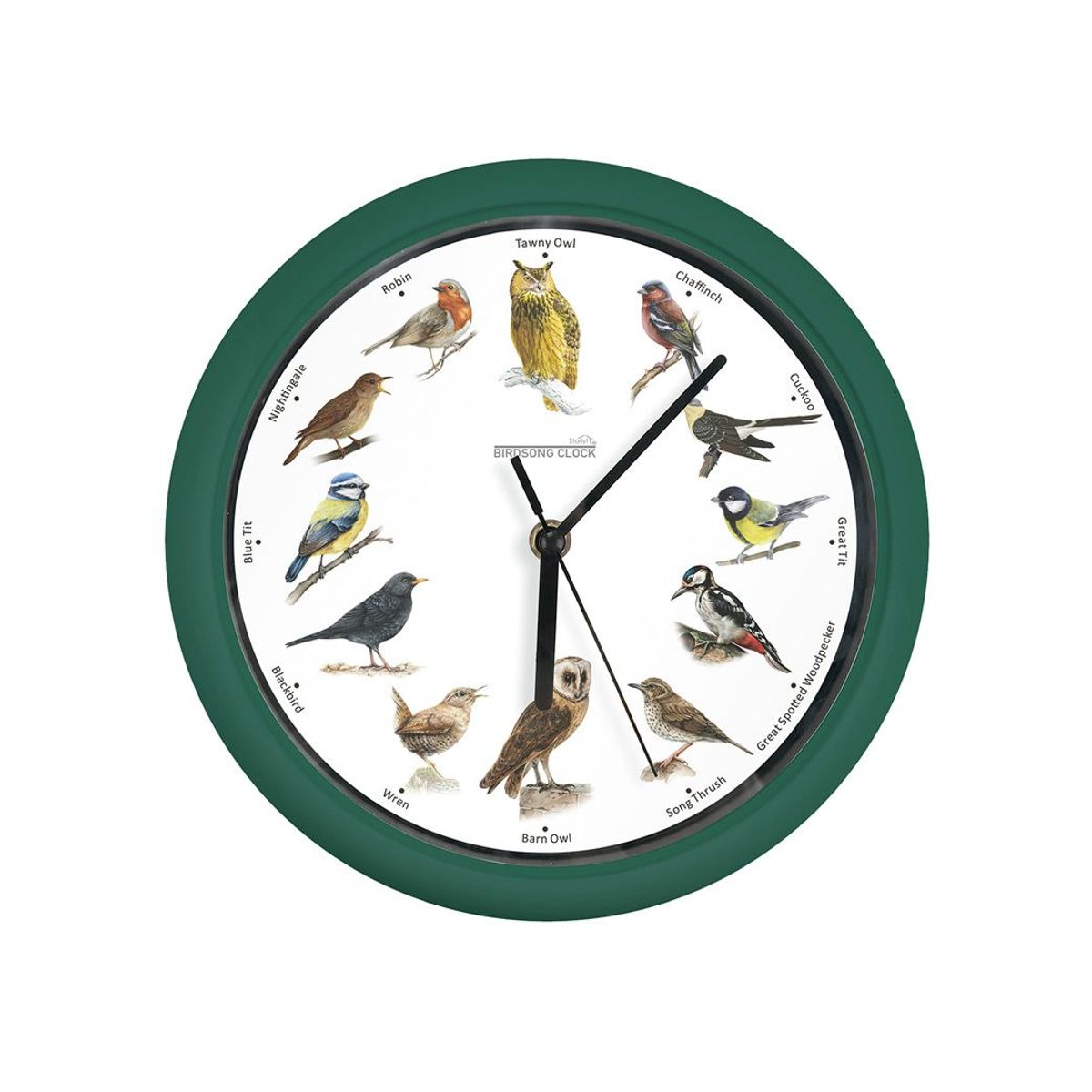 TV NOVEDADES - Reloj De Pared Con Sonido De Pajaritos Starlyf Birdsong Clock