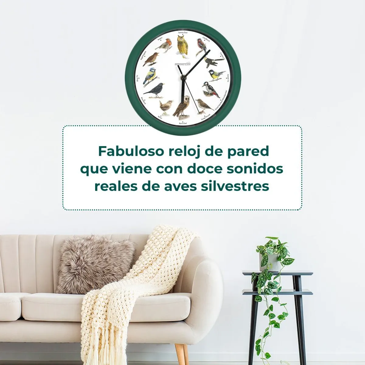 TV NOVEDADES - Reloj De Pared Con Sonido De Pajaritos Starlyf Birdsong Clock