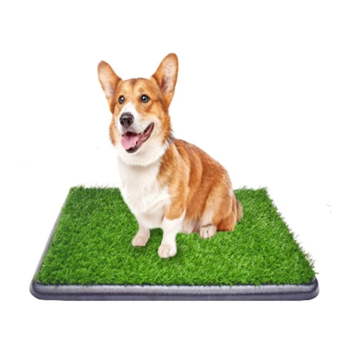 HALLY PET - Tapete entrenador Grande con grama 76cm x 51cm