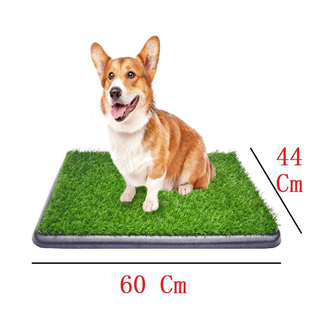 HALLY PET - Tapete De Entrenamiento Para mascotas Mediano 60 Cm x 44 Cm.---_.