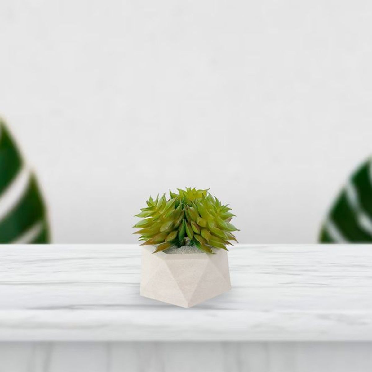 RENOVEMOS - Arreglo hexagonal concreto mini puntas