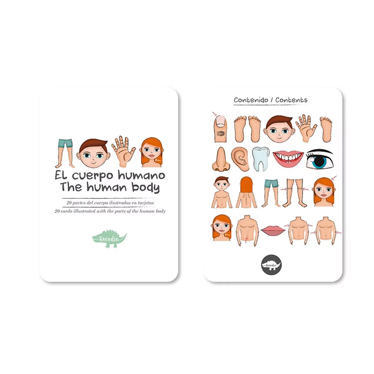 KOCODIO - Flash cards partes del cuerpo productos didácticos