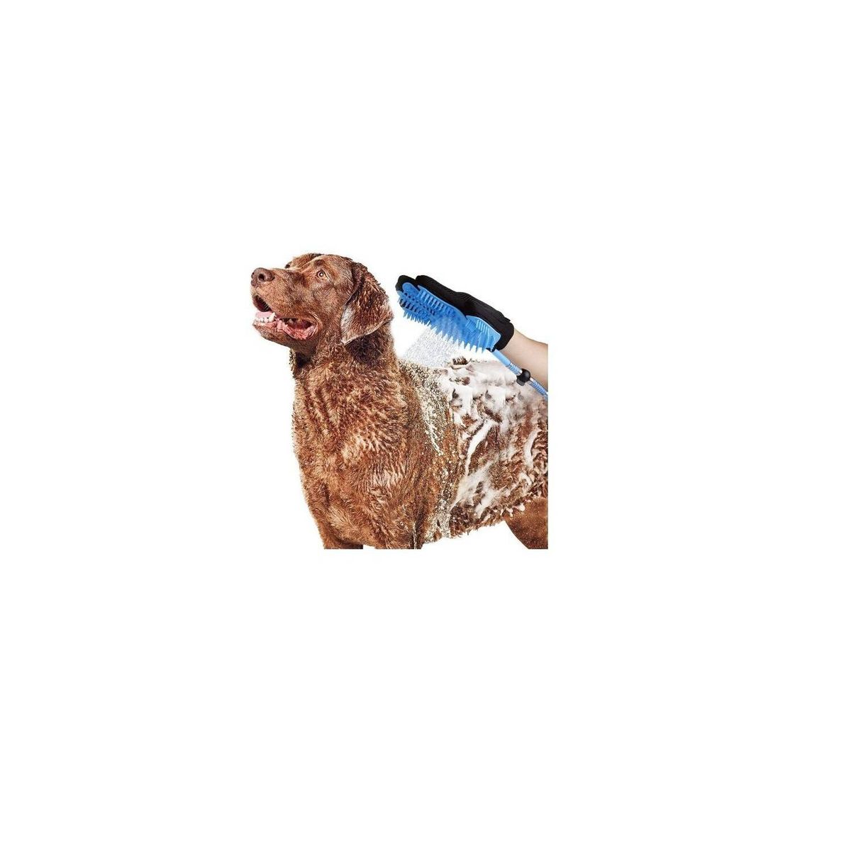 GENERICO - Guante manguera ducha para mascotas